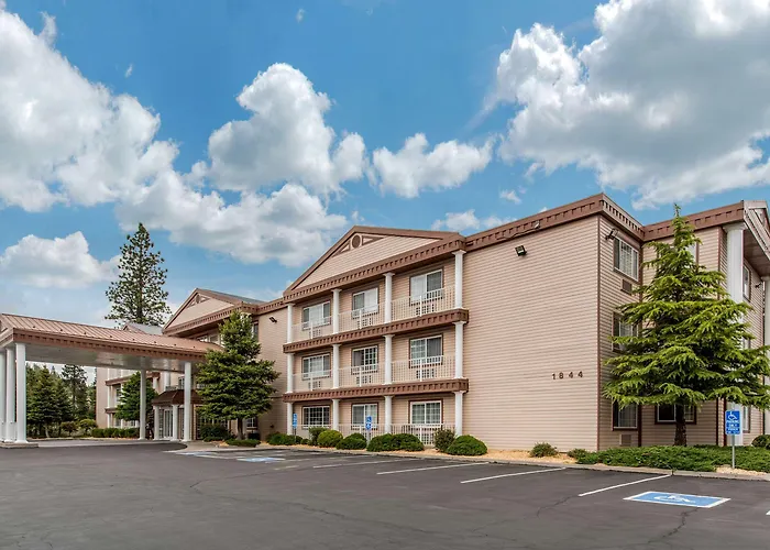 Top Weed Hotels for Relaxed Getaway