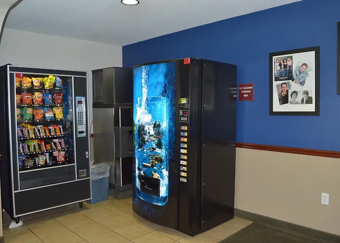 Best Family-Friendly Hotels in Miami